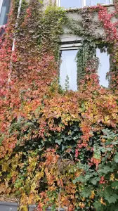 Leentje 03 Herfsthuis